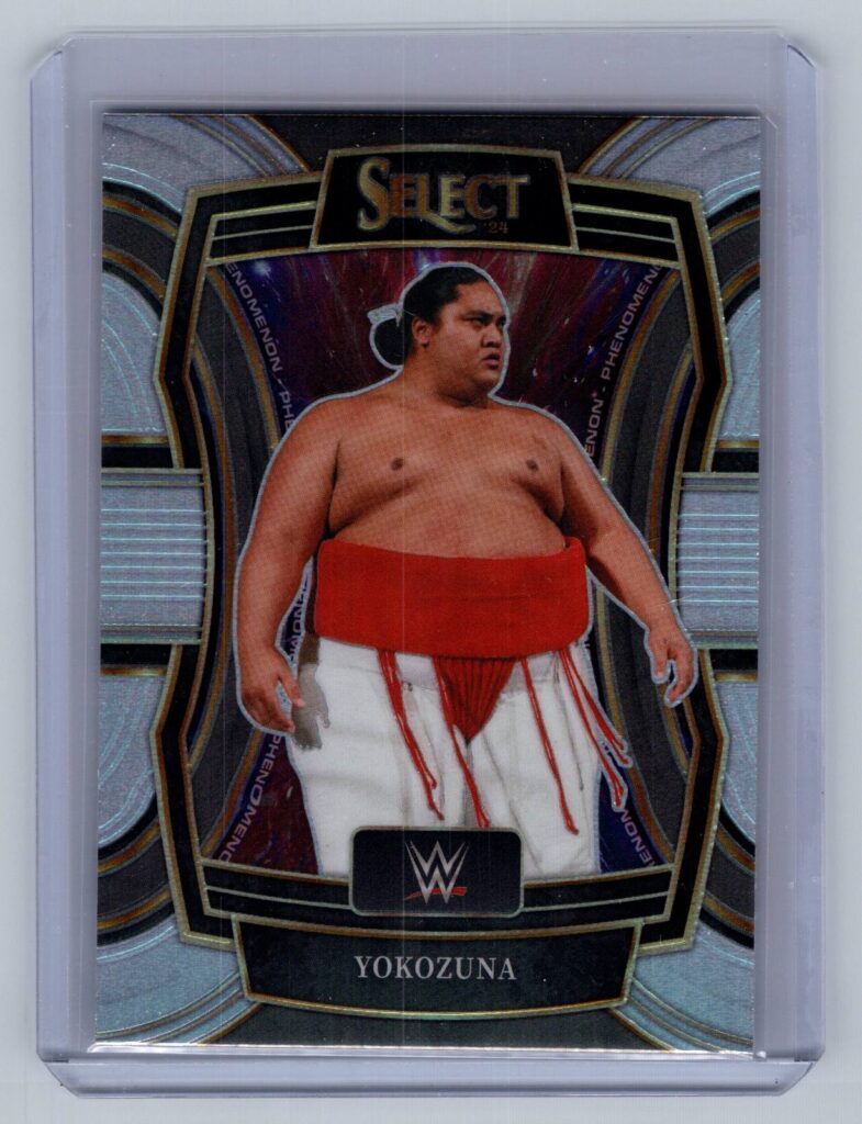 Yokozuna front
