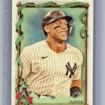 Aaron Judge front
